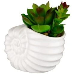 B&M Scandi Shore Small Shell Succulent -B&M 380110 small shell succulent 3