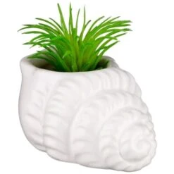B&M Scandi Shore Small Shell Succulent -B&M 380110 small shell succulent 6