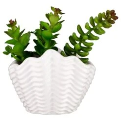 B&M Scandi Shore Small Shell Succulent -B&M 380110 small shell succulent 7