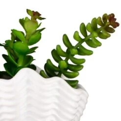 B&M Scandi Shore Small Shell Succulent -B&M 380110 small shell succulent 8