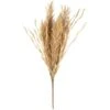 B&M Dried Grass Bunch