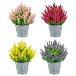 Bloom Heather In Plant Pot - Light Pink 5 Bloom Heather In Plant Pot - Light Pink -B&M 392828 heather in plant pot group